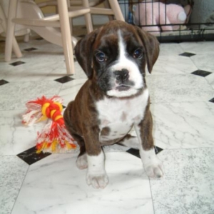 I didn't do it 'mummy'