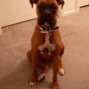 Ace - Sitting Tall