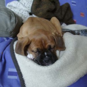 Sleep_time