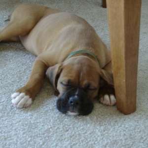 Sleeping