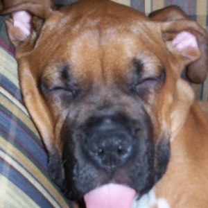 nap time
