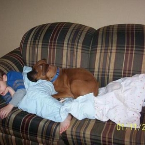 all family nap time