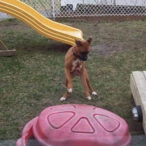 would you just open up!