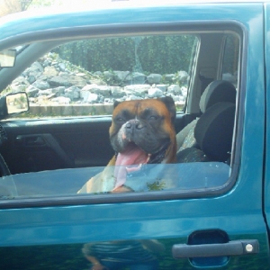 Moya and his favorite car