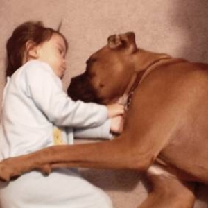 Ace - Sleep Buddies