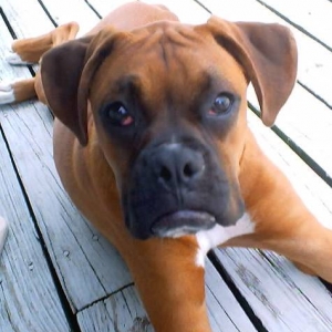 Ace @ 9 mo.