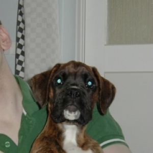 Max at 11 weeks