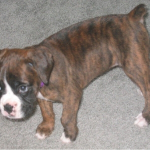 Layla @ 7 weeks!
