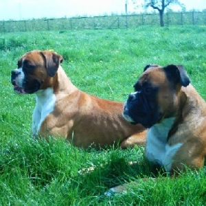 raiko and moy in the field