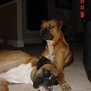 The Duo