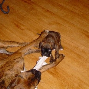 Who's Got The Upper Hand Now?