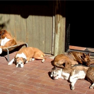 Group mentality in action