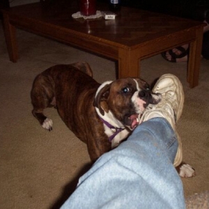 likes daddy's shoe
