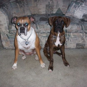 Xena & Spirit