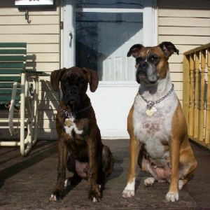 Neighborhood Watch