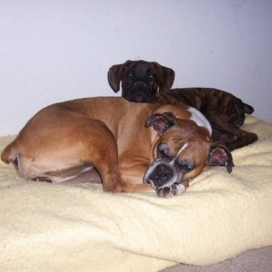 Shhh Mommy..Don't Wake Her