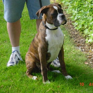 Knuckles at 5 months