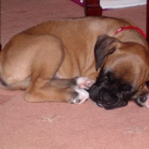 All curled up