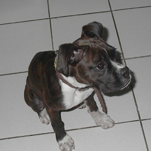 innocent look