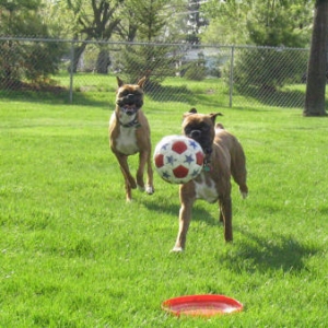 Hey...Gimme that back!