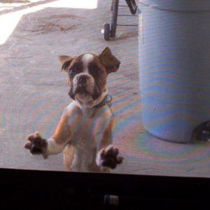 Let me in!