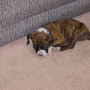 sleep