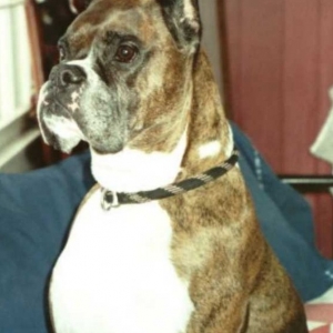 Yoni guarding the house