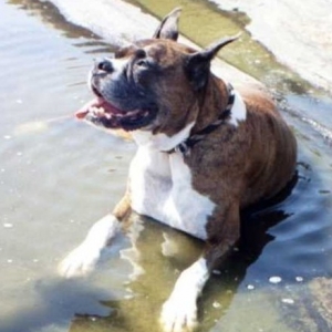 Cooling down in Maine