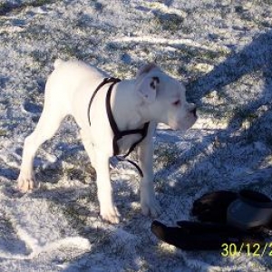 what do you call this white stuff again