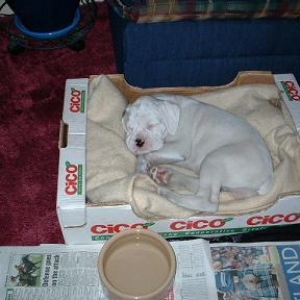 i'm just a sleepy head