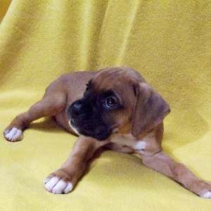 Posing for Mommy