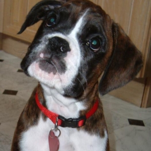 I know you love me!!!