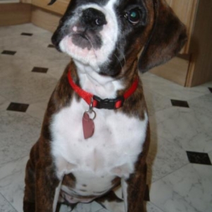 I'm sure i heard something?