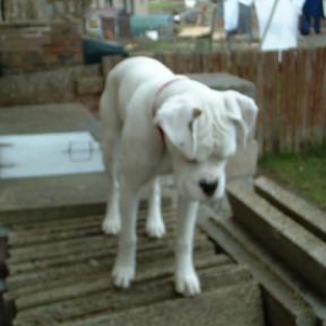 i got up now how do i get down????