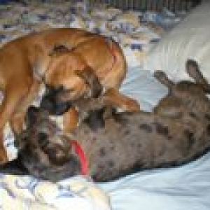 Layla and Emmie-kissie/kissie