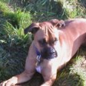 What you talking about?