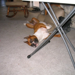 Help, I slipped on that toy