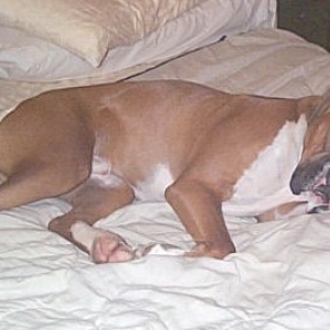 Just taking a cat nap......