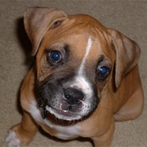 too cute