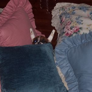 Where's Abigail?