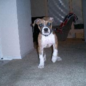 Banjo Three Months