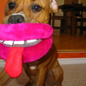 smile for the camera