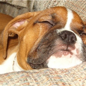 I'm Exhausted!