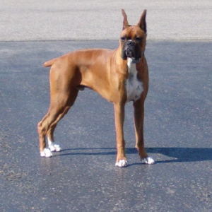 I'm really not that tough!