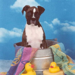 Bath Time