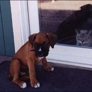 Nelly - Wanting inside!