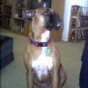 Katie Hears Something