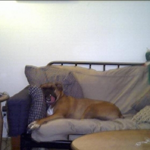 Out for the Count