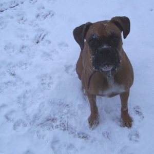 Nelly - Discovering Snow