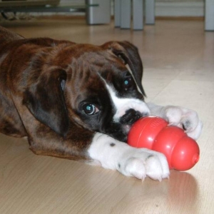 Yummy.. peanut butter!!!!
